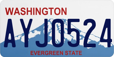 WA license plate AYJ0524
