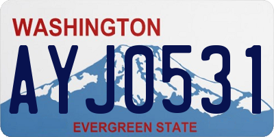 WA license plate AYJ0531