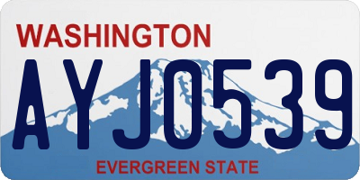 WA license plate AYJ0539