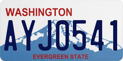 WA license plate AYJ0541