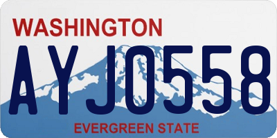 WA license plate AYJ0558