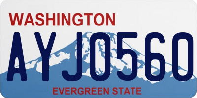 WA license plate AYJ0560