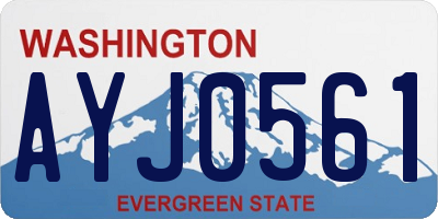 WA license plate AYJ0561