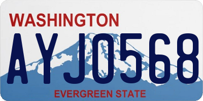 WA license plate AYJ0568