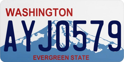 WA license plate AYJ0579