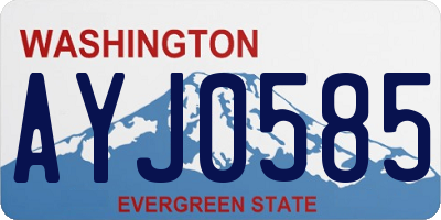WA license plate AYJ0585