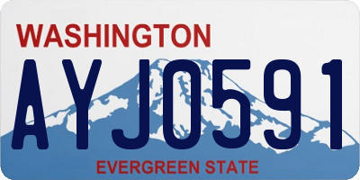 WA license plate AYJ0591