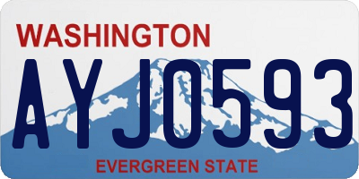 WA license plate AYJ0593