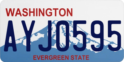 WA license plate AYJ0595