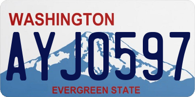 WA license plate AYJ0597