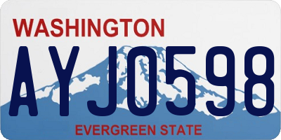 WA license plate AYJ0598