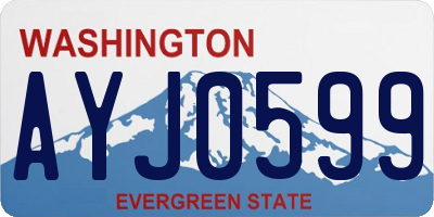 WA license plate AYJ0599