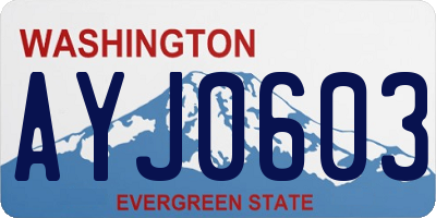 WA license plate AYJ0603