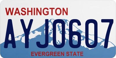 WA license plate AYJ0607