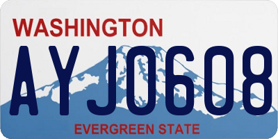 WA license plate AYJ0608