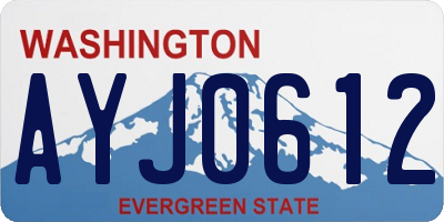 WA license plate AYJ0612