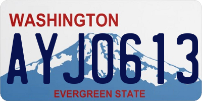 WA license plate AYJ0613