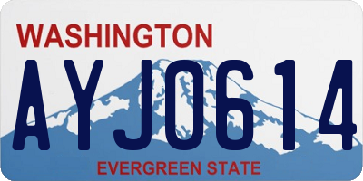 WA license plate AYJ0614