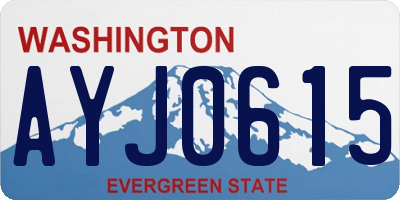 WA license plate AYJ0615