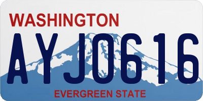 WA license plate AYJ0616