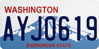 WA license plate AYJ0619
