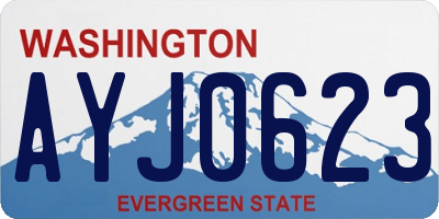 WA license plate AYJ0623