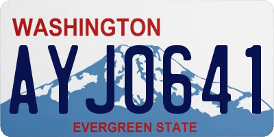 WA license plate AYJ0641