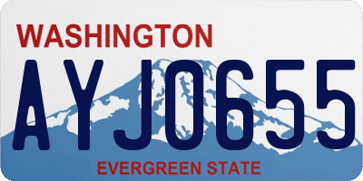 WA license plate AYJ0655