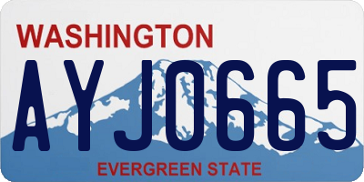 WA license plate AYJ0665