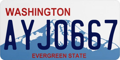 WA license plate AYJ0667