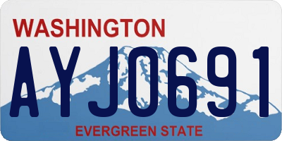 WA license plate AYJ0691