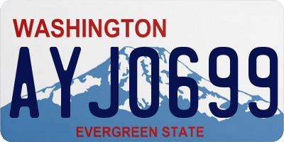 WA license plate AYJ0699