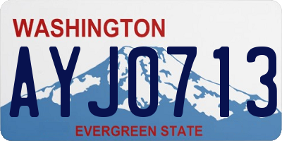 WA license plate AYJ0713