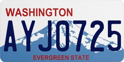 WA license plate AYJ0725