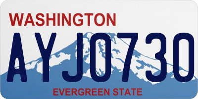 WA license plate AYJ0730