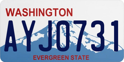 WA license plate AYJ0731