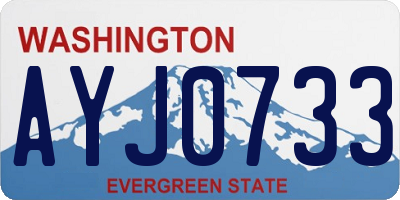WA license plate AYJ0733