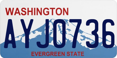 WA license plate AYJ0736