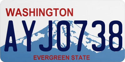 WA license plate AYJ0738