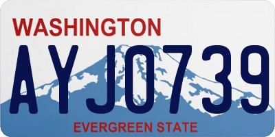 WA license plate AYJ0739