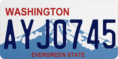WA license plate AYJ0745