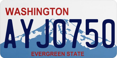 WA license plate AYJ0750