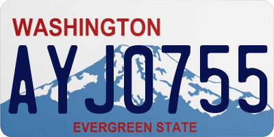 WA license plate AYJ0755