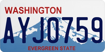 WA license plate AYJ0759