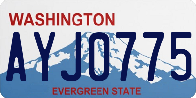 WA license plate AYJ0775