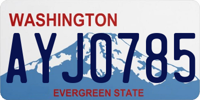 WA license plate AYJ0785