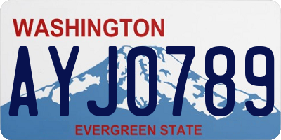 WA license plate AYJ0789