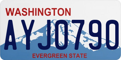 WA license plate AYJ0790