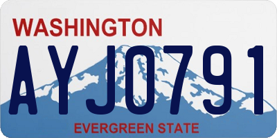 WA license plate AYJ0791