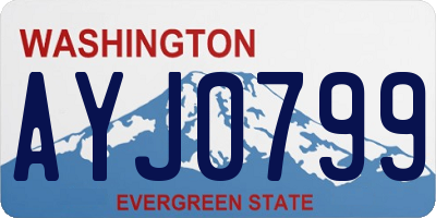 WA license plate AYJ0799